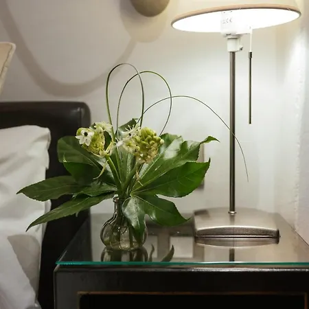 Penzion Hc6 Boutique - Adults Only Marbella