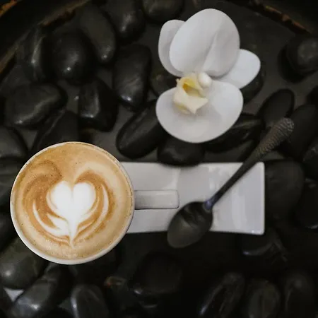 Hc6 Boutique - Adults Only